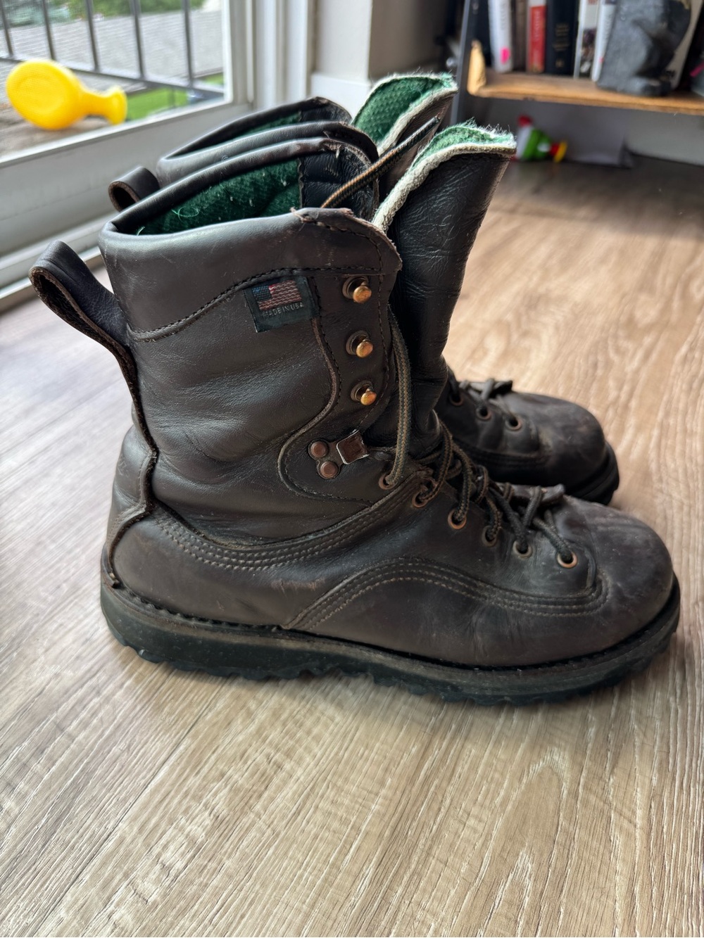 Danner Santiam Boots